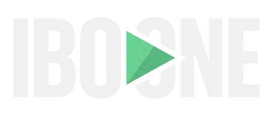 Ora logo